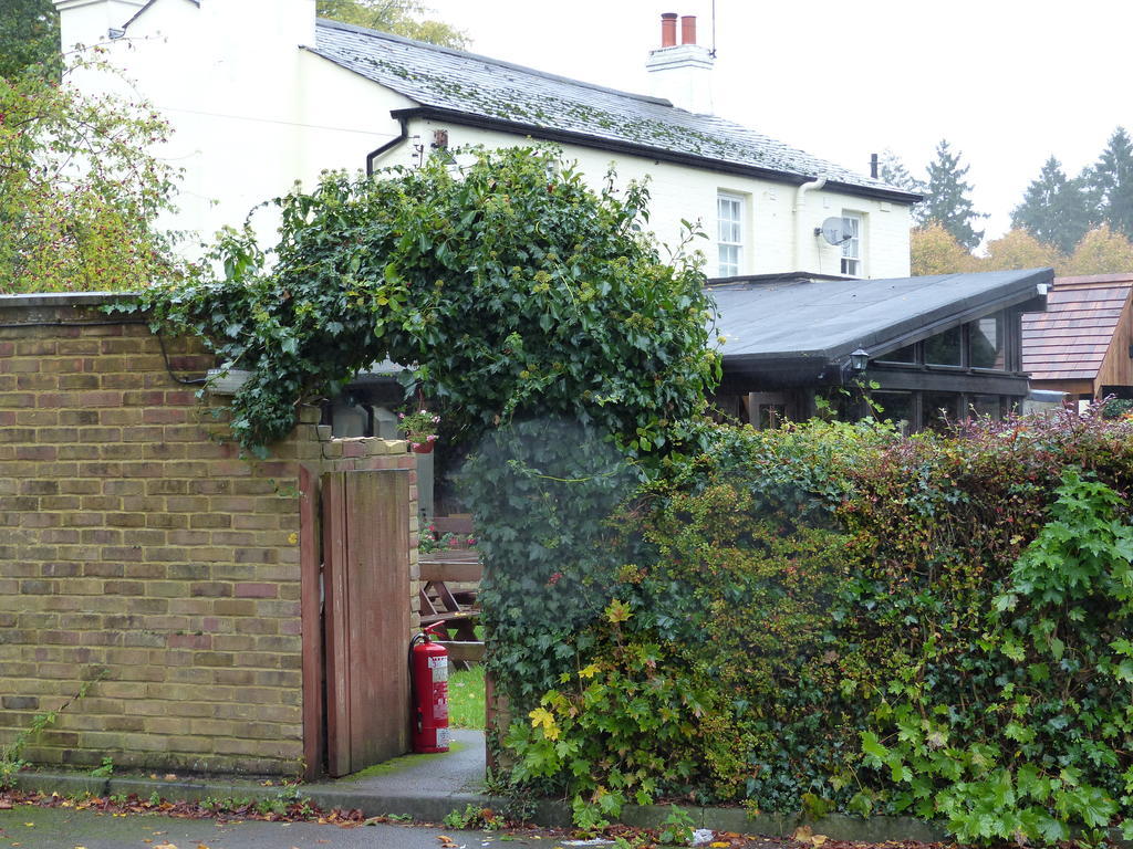 The Sun Inn Englefield Green Esterno foto